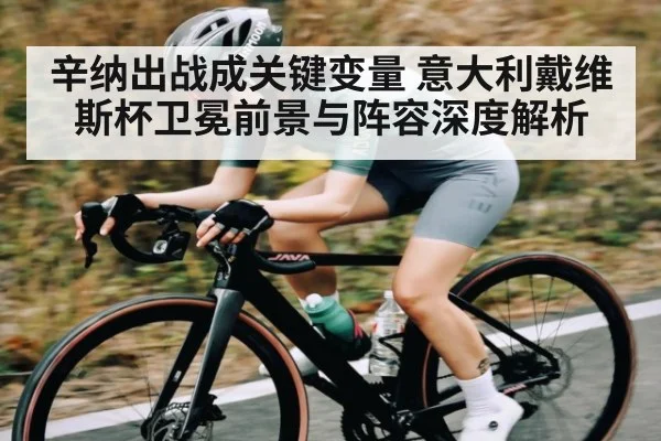 辛纳出战成关键变量 意大利戴维斯杯卫冕前景与阵容深度解析
